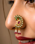 Rajkumari Fusion Nath